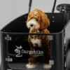 Cargobike of Sweden DeLight Dog laatikkopyörä