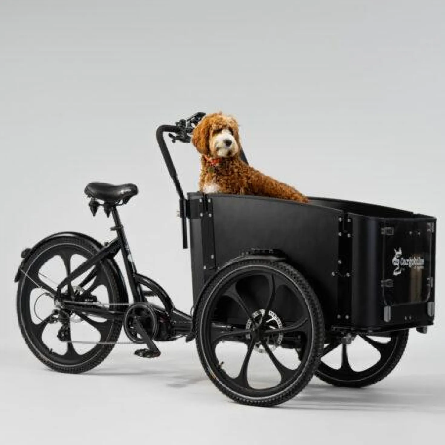 Cargobike of Sweden DeLight Dog laatikkopyörä