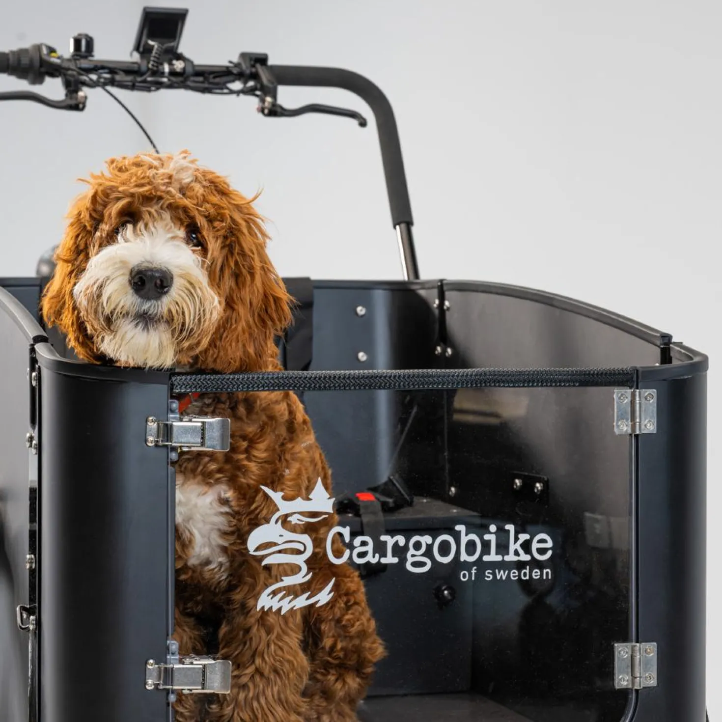 Cargobike of Sweden Flex Dog laatikkopyörä