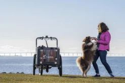 Cargobike of Sweden Flex Dog laatikkopyörä