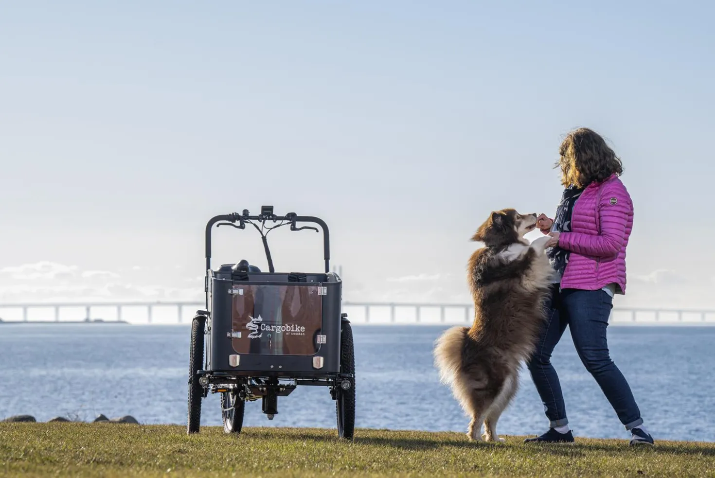 Cargobike of Sweden Flex Dog laatikkopyörä
