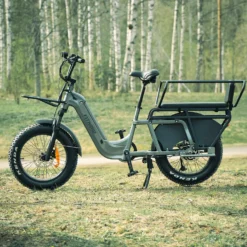 FitNord Cargo 350 Pitkäperäinen Sähköpyörä, harmaa