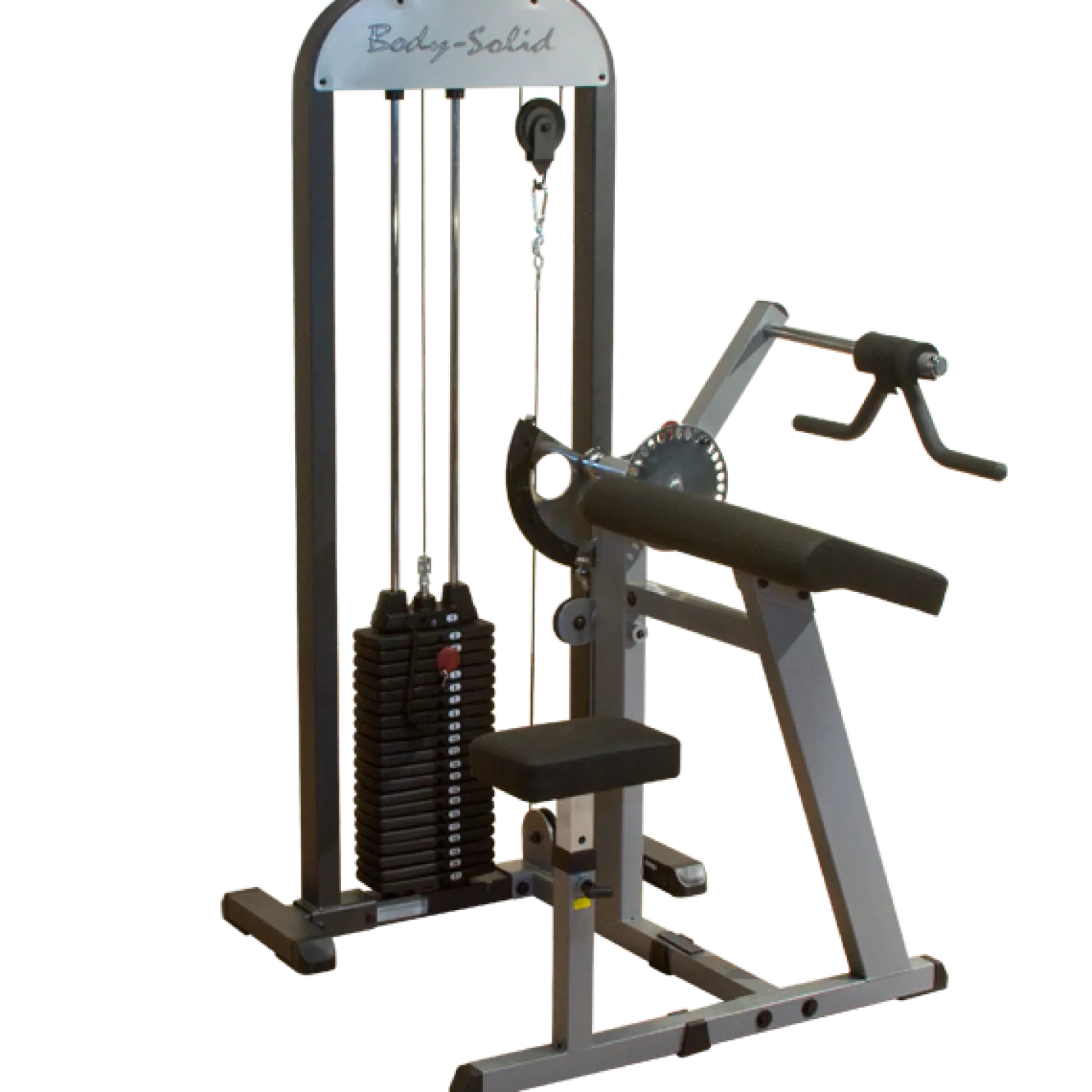 Hauis- ja ojentajalaite painopakalla Body-Solid Pro Select