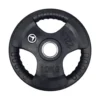 Levypaino 10 kg, FitNord Tri Grip
