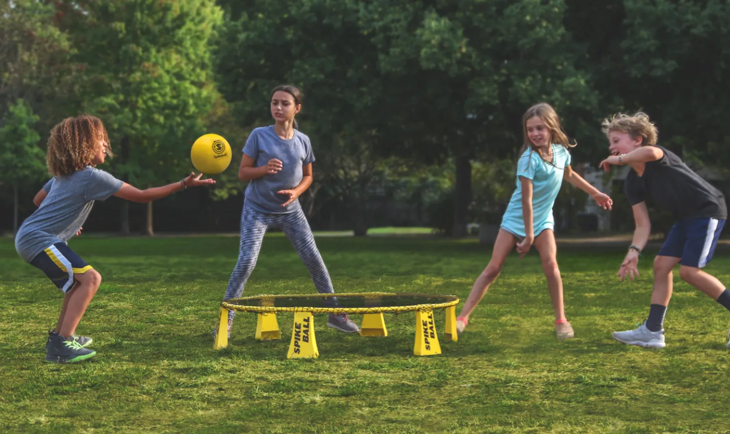 Spikeball Rookie Set